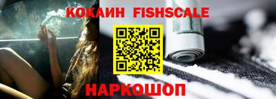 индика Кингисепп
