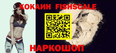 индика Кингисепп
