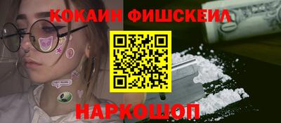 индика Кингисепп