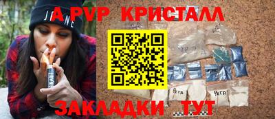 индика Кингисепп