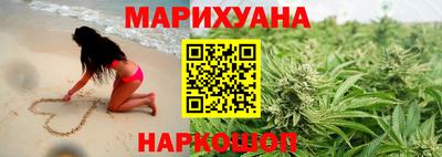 индика Кингисепп