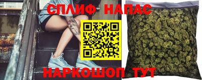 дмт Кимры