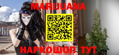 индика Кингисепп
