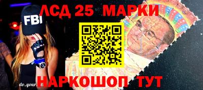индика Кингисепп