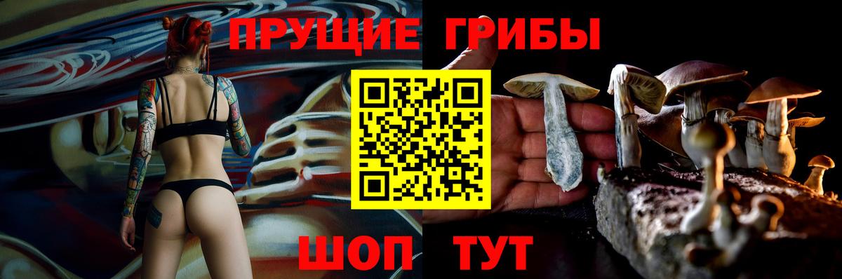Миллерово  Галлюциногенные грибы Psilocybine cubensis  купить наркотики сайты  Псилоцибиновые грибы прущие грибы  Вход с VPN 